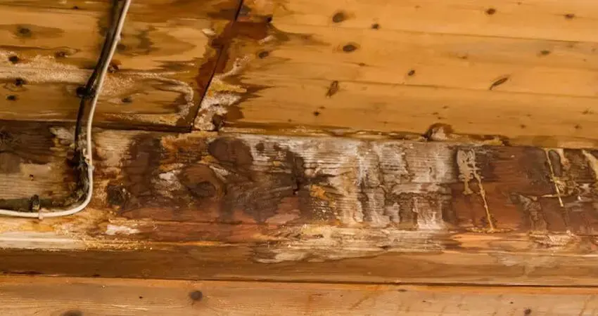 Water-stained rafter and roof decking from a roof leak in Wake Forest